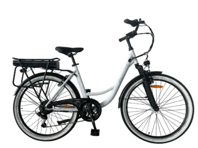 Bebikes Born Electric J1A6SLI