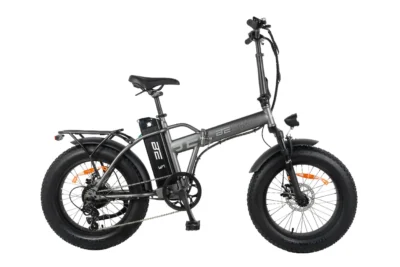 Bebikes Born Electric W1R648SLK - Matt Titanium