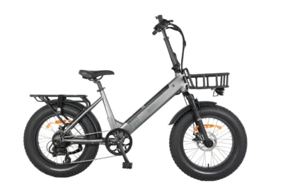Bebikes Born Electric W2R648